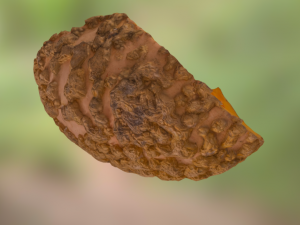 pumpink stranger Modèle 3D