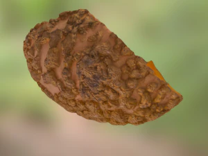 pumpink stranger 3D Model