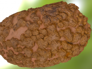 pumpink stranger Modèle 3D