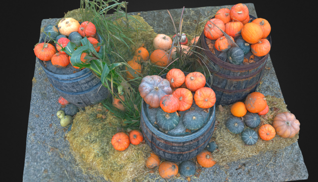pumpkins on barrels vegetable realistic 3D Modell .c4d .max .obj .3ds .fbx .stl .blend 