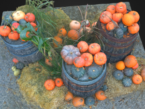pumpkins on barrels vegetable realistic 3D 모델