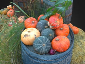 pumpkins on barrels vegetable realistic 3D Modell