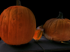 trio pumpkins halloween monster 3D Model