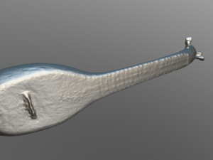 instrument string 3D Model