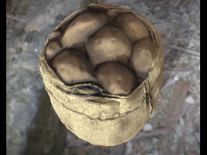 bag potato Modello 3D
