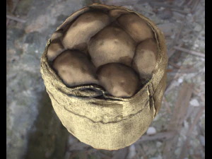 bag potato 3D Model