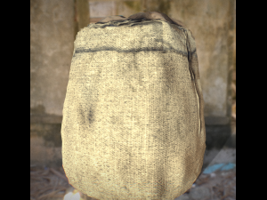 bag potato Modello 3D