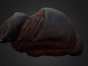 burned croissant Modèle 3D