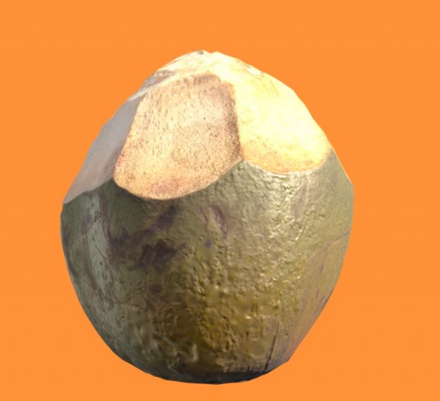 coconut realistic 3D 모델 .c4d .max .obj .3ds .fbx .stl .blend 