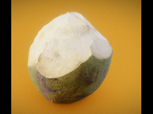 coconut realistic 3D 모델
