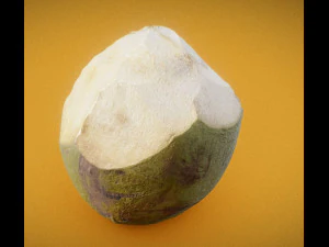 coconut realistic 3D Model