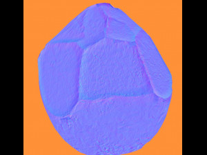 coconut realistic 3D 모델