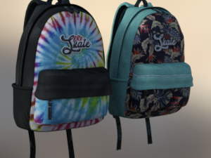skate and bag sport 3D Model