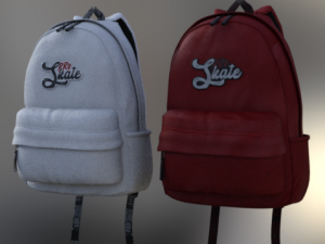 skate and bag sport 3Dモデル