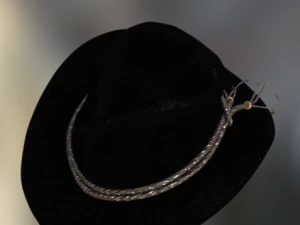 leather cowboy hat unissex 3D Model
