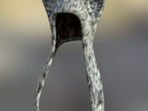 kitty hats fantasy 3D Model