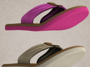 flips flops summer 3D Model