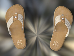 flips flops summer 3D Model