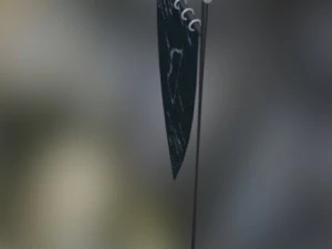 ok&ccedil;uluk afişi 3D Model