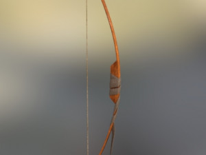 bow arrow Model 3D