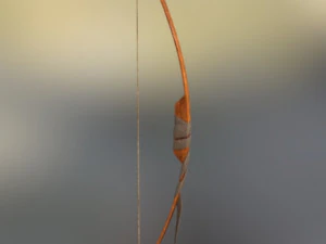 bow arrow 3D Model