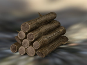 Logs fire 3Dモデル