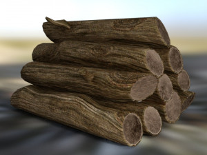 Logs fire 3D Model