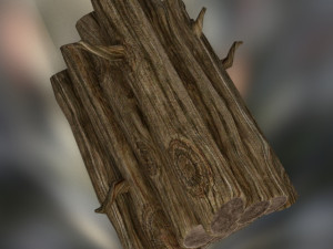 Logs fire 3D Model