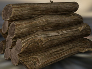 Logs fire 3D Model
