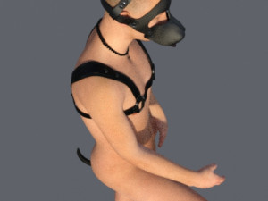 Puppy collection Model 3D