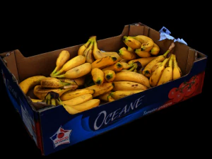 Bananas crate 3D Model