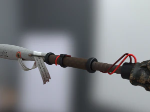 Cr&acirc;nio ber&eacute;tico de morcego com tes&atilde;o Modelo 3D