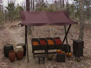 Negozio di frutta espositore Modello 3D