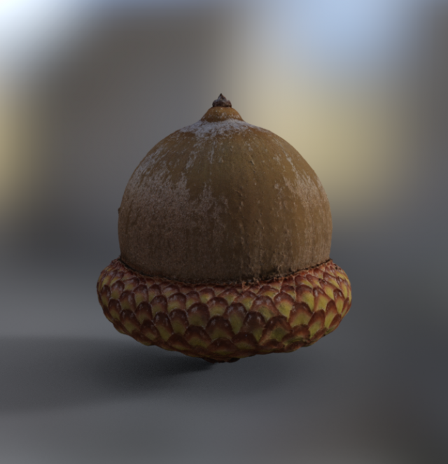 Acorn Modelo 3D .c4d .max .obj .3ds .fbx .stl .blend 
