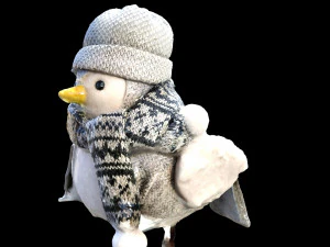 Pulcino di Natale Modello 3D