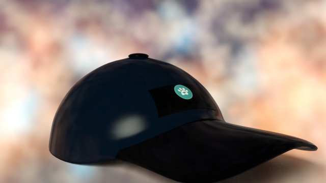 Cap Young modern pack 6 colors Modèle 3D .c4d .max .obj .3ds .fbx .stl .blend 
