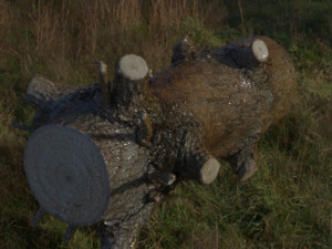 Wood trunk 3D-Modell