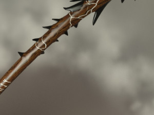 Transylvanian barb witch broom Model 3D