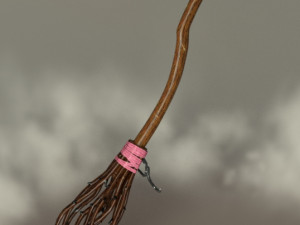 Transylvanian barb witch broom Model 3D