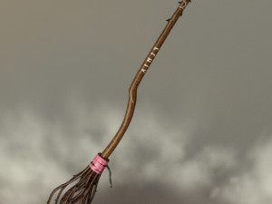 Transylvanian barb witch broom Model 3D