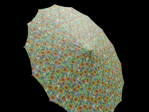 Hat and umbrella Modelo 3D