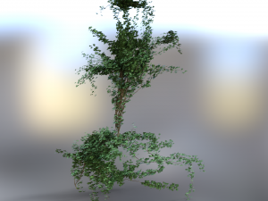 Graves grass 3D-Modell