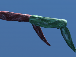 Pirate props 3D Model