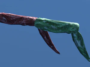 Pirate props 3D Model