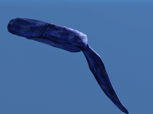 Pirate props 3D Model