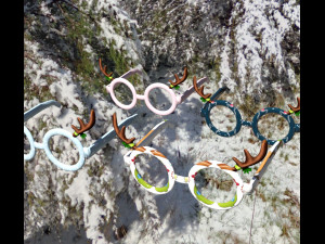 Decoration xmas 3D Model