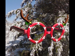 Decoration xmas 3D Model