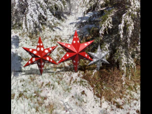 Pack props christmas 3D Model