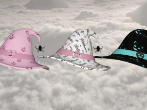 Hat end broom magic 3D Model