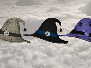 Hat end broom magic 3D Model